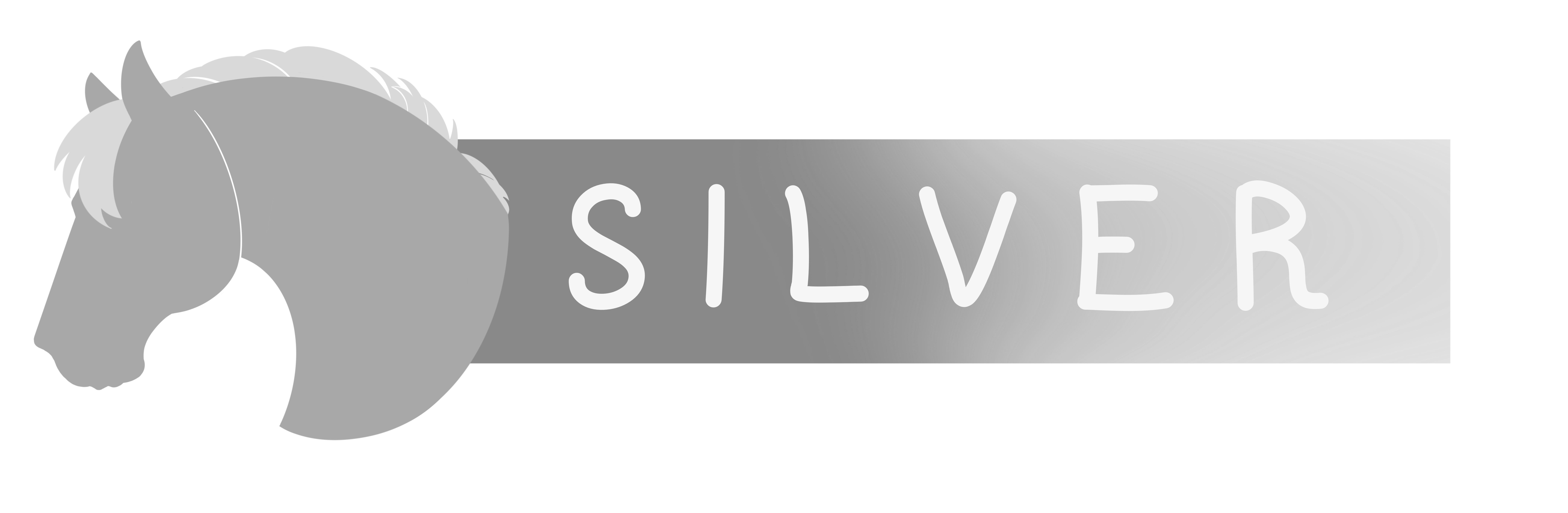 Silver-plan